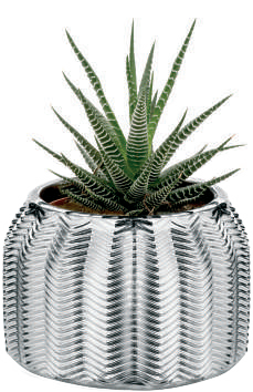 PORTA VASO D.14 ARGENTO