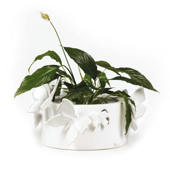 CACHEPOT CON DECORO FARFALLE