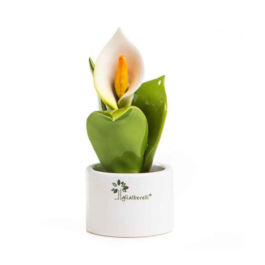 PIANTA NATURA MIGNON CALLA