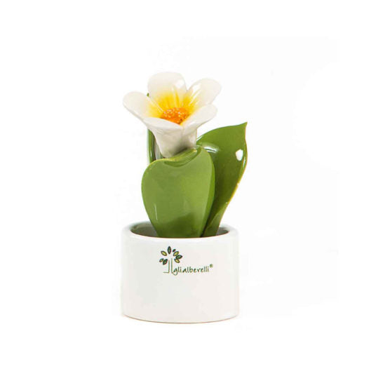 PIANTA NATURA MIGNON CAMPANULA