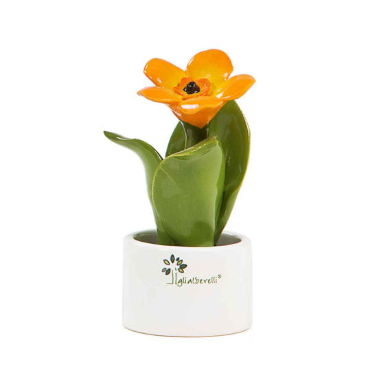 PIANTA NATURA MIGNON FIORE ARANCIO
