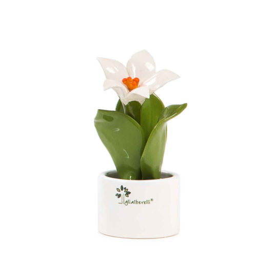 PIANTA NATURA MIGNON GIGLIO
