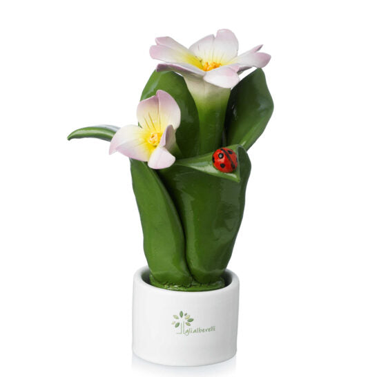 PIANTA NATURA 2 FIORI BALSAMINA