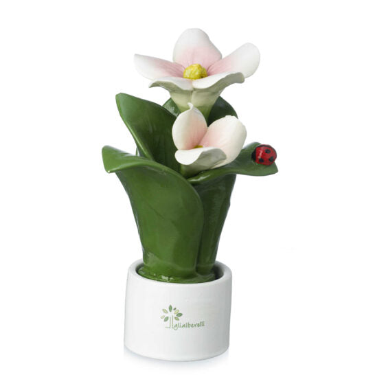 PIANTA NATURA 2 FIORI CAMPANULA ROSA