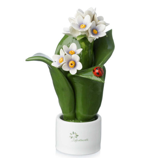 PIANTA NATURA 2 FIORI GIACINTO