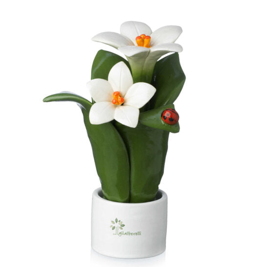 PIANTA NATURA 2 FIORI GIGLIO