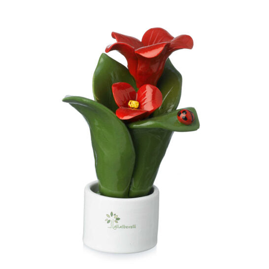 PIANTA NATURA 2 FIORI IBISCO