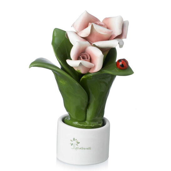 PIANTA NATURA 2 FIORI ROSA