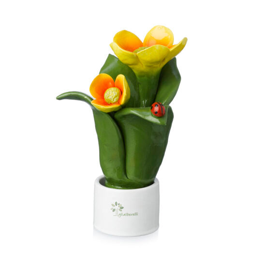 PIANTA NATURA 2 FIORI ARANCIONI