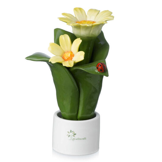 PIANTA NATURA 2 FIORI GERBERA