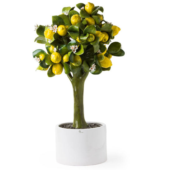 ALBERO GIGANTE – DECORO LIMONE
