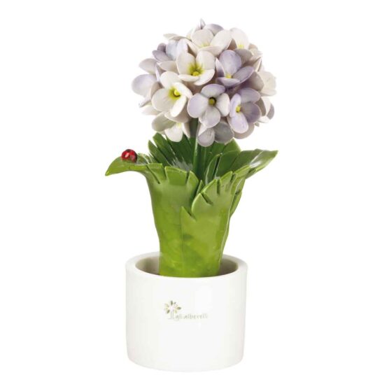 PIANTINA FOGLIA ORTENSIA – LILLA