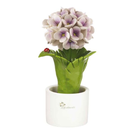 PIANTINA FOGLIA ORTENSIA – VIOLA