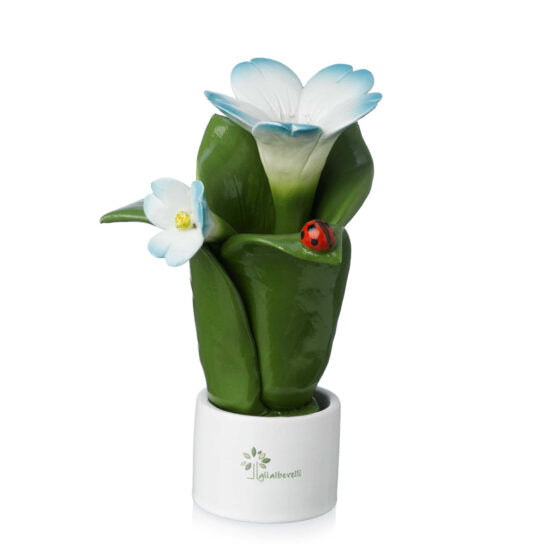 PIANTA NATURA 2 FIORI ELLEBORO