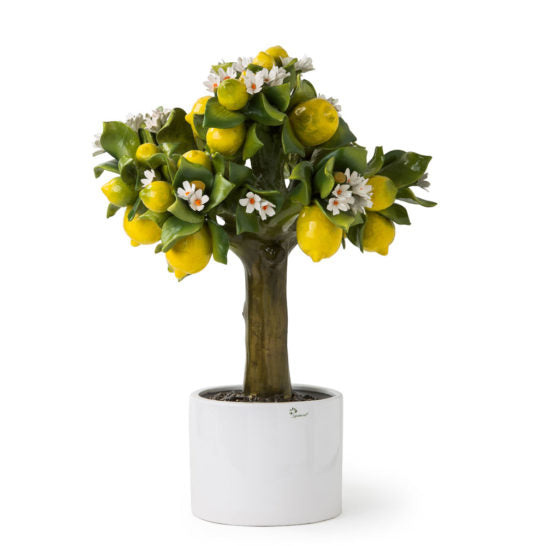 ALBERO ALLEGRO MAXIMEDIO LIMONE