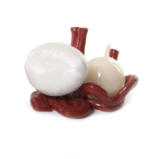 PORTACANDELA CORALLO E