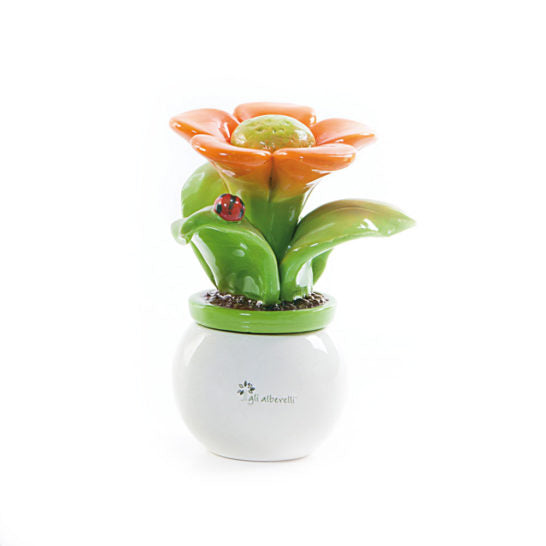 PIANTA ALLEGRA FIORE ARANCIO