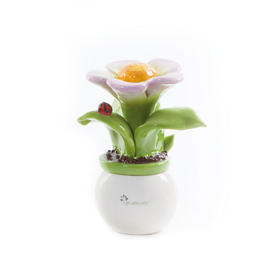 PIANTA ALLEGRA FIORE LILLA