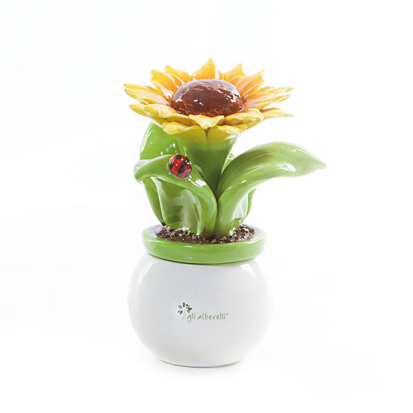 PIANTA ALLEGRA GIRASOLE