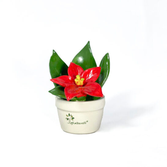 PROFUMINA STELLA DI NATALE ROSSA