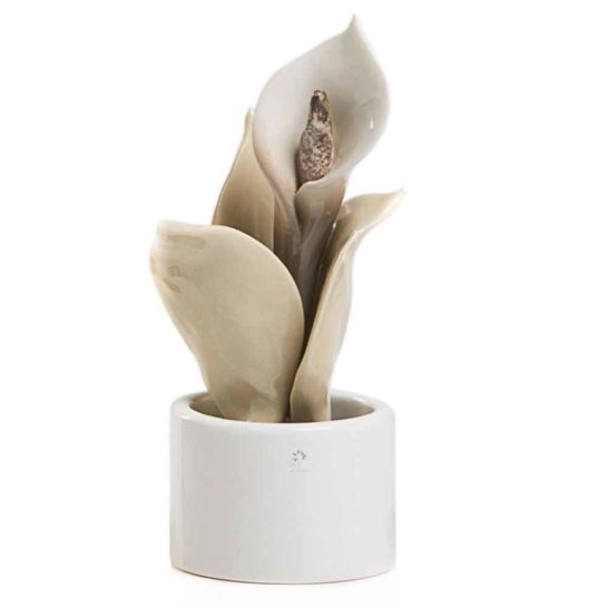PIANTA NATURA MIGNON CALLA – PANNA