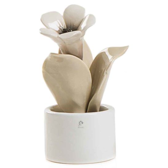 PIANTA NATURA MIGNON CAMPANULA – PANN