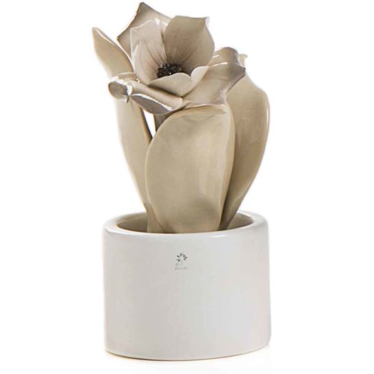 PIANTA NATURA MIGNON ELLEBORO – PANNA