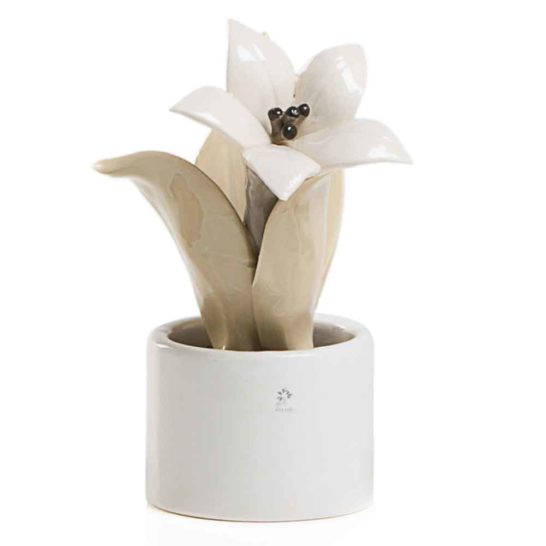 PIANTA NATURA MIGNON GIGLIO – PANNA