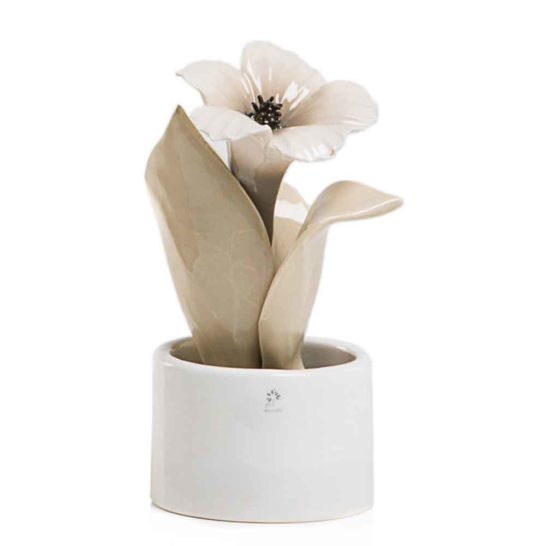 PIANTA NATURA MIGNON IBISCUS – PANNA