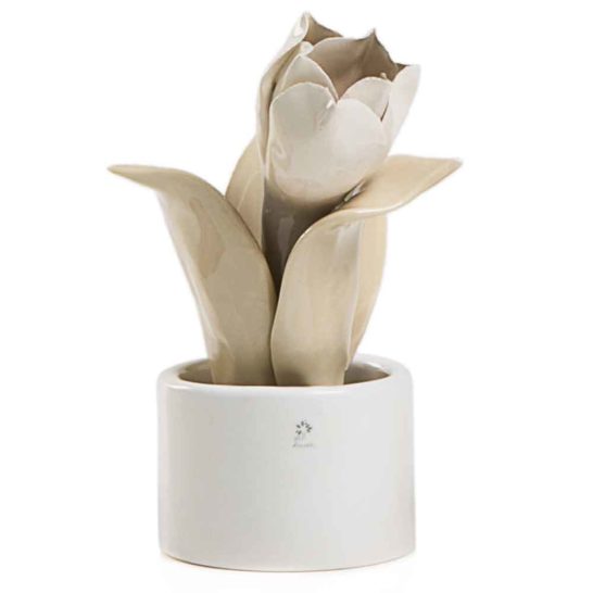 PIANTA NATURA MIGNON TULIPANO – PANNA