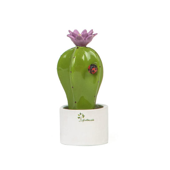 PIANTINA GRASSA ASTROPHYTUM