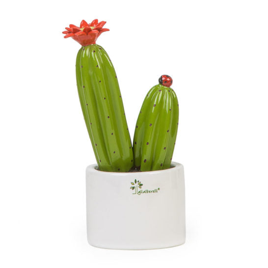 PIANTINA GRASSA CACTUS