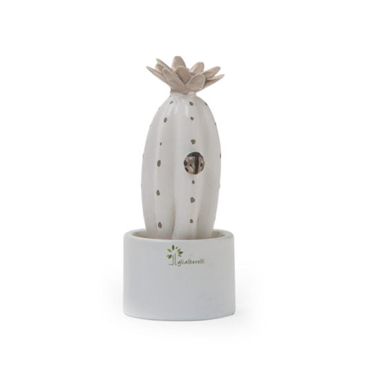 PIANTINA GRASSA PANNA CACTUS