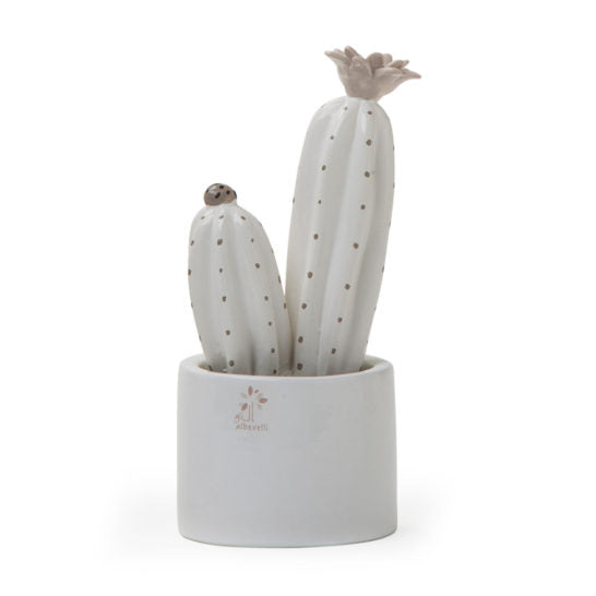 PIANTINA GRASSA PANNA CACTUS