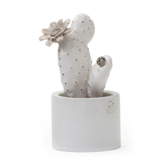 PIANTINA GRASSA PANNA FICO D’INDIA