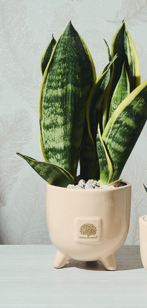 PIEDINO GRANDE SEMPLICE