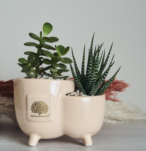 PIEDINO DOPPIO SEMPLICE